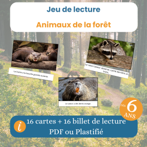 Jeu de lecture animaux de la forêt enfant