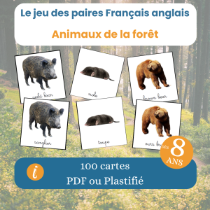 Jeu des paires français-anglais forêt