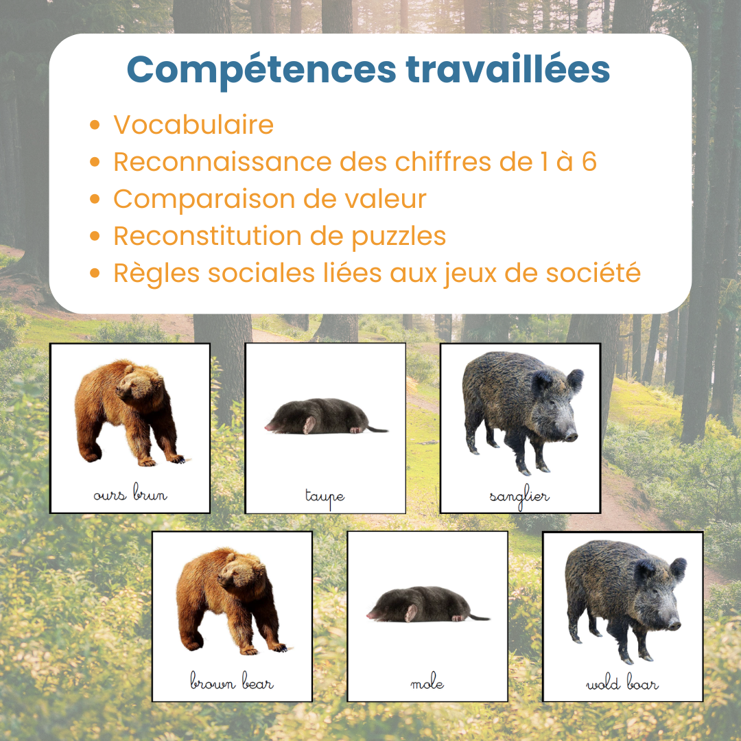 Jeu des paires français-anglais forêt – Image 5