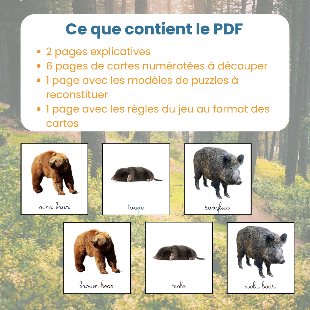 Jeu des paires français-anglais forêt – Image 6