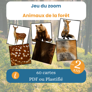 Jeu du zoom des animaux de la forĂȘt