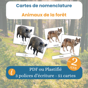 Cartes de nomenclature animaux de la forĂȘt Montessori