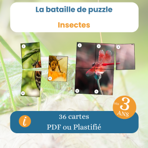Bataille de puzzle insectes – jeu éducatif