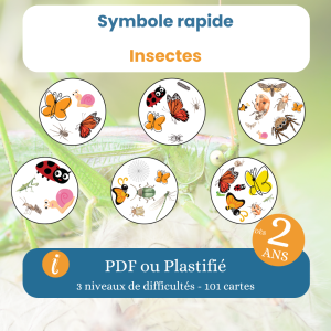 Jeu d’observation insectes – Symboles