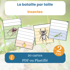 Jeu de bataille par taille – insectes