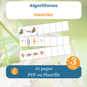 Algorithmes insectes – jeu logique enfant