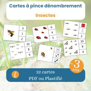 Cartes à pince dénombrement insectes