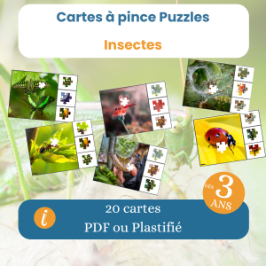 Cartes à pince puzzle insectes