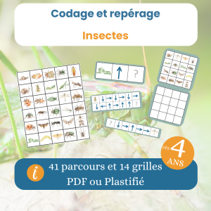 Jeu de codage insectes