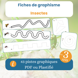 Fiches graphisme insectes – 43 pistes