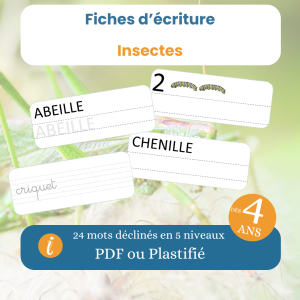 Fiches écriture insectes – 4 niveaux