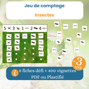 Jeu de comptage insectes à imprimer