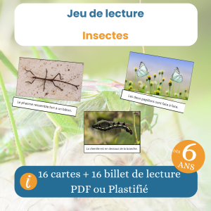 Jeu de lecture insectes enfant