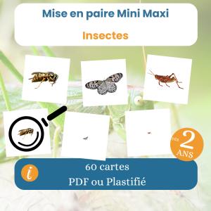 Jeu mini maxi insectes Montessori