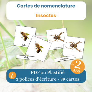 Cartes de nomenclature insectes Montessori