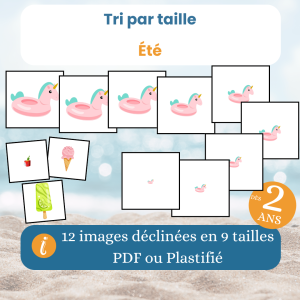 Jeu de tri par taille été dès 2 ans : activité de logique enfant en PDF à imprimer