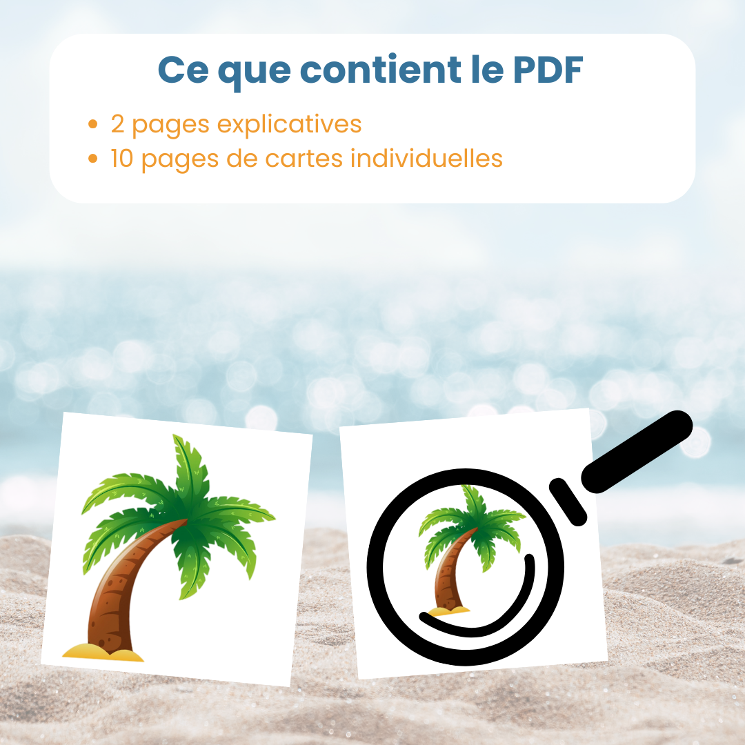 Contenu du PDF mise en paire été : fiches explicatives et 60 cartes illustrations grand format et miniatures
