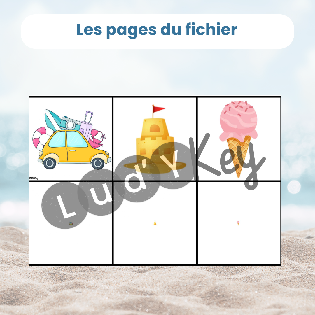 Cartes mini maxi été pour plateau d'activités autonome : jeu d'observation PDF pour temps calme