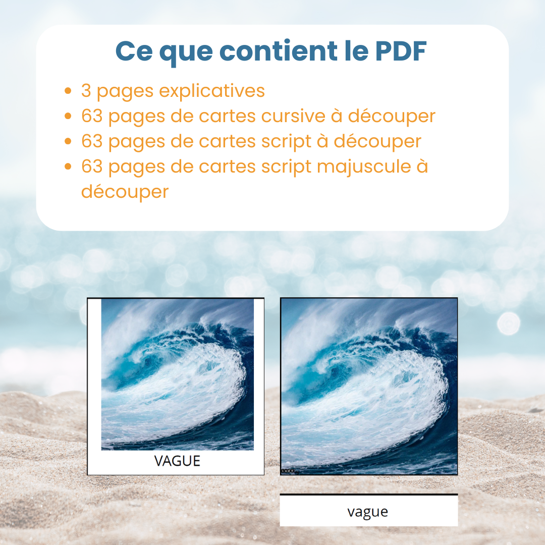 contenu du PDF cartes de nomenclature été : fiches explicatives et 63 cartes en 3 polices d'écriture