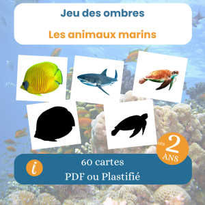 Jeu des ombres des animaux marins dès 2 ans 60 cartes PDF à imprimer