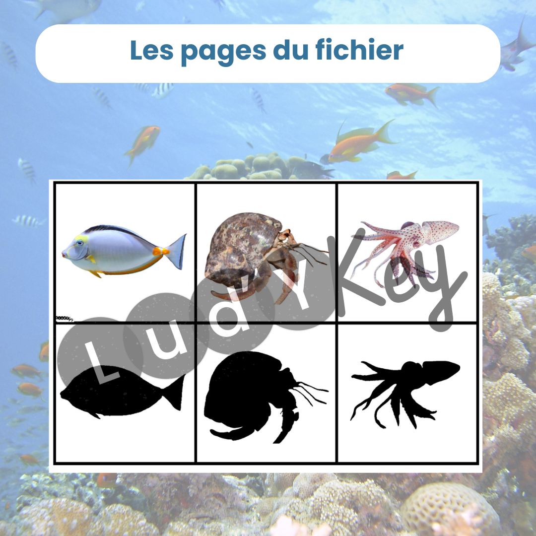 Planche de cartes à découper avec poisson et ombre
