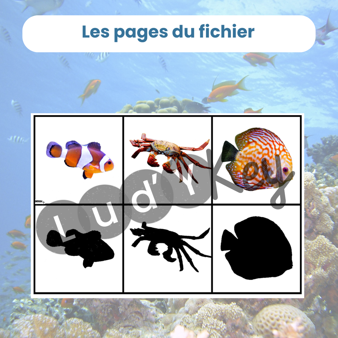 exemple de page du PDF des cartes à découper pour jeu des ombres