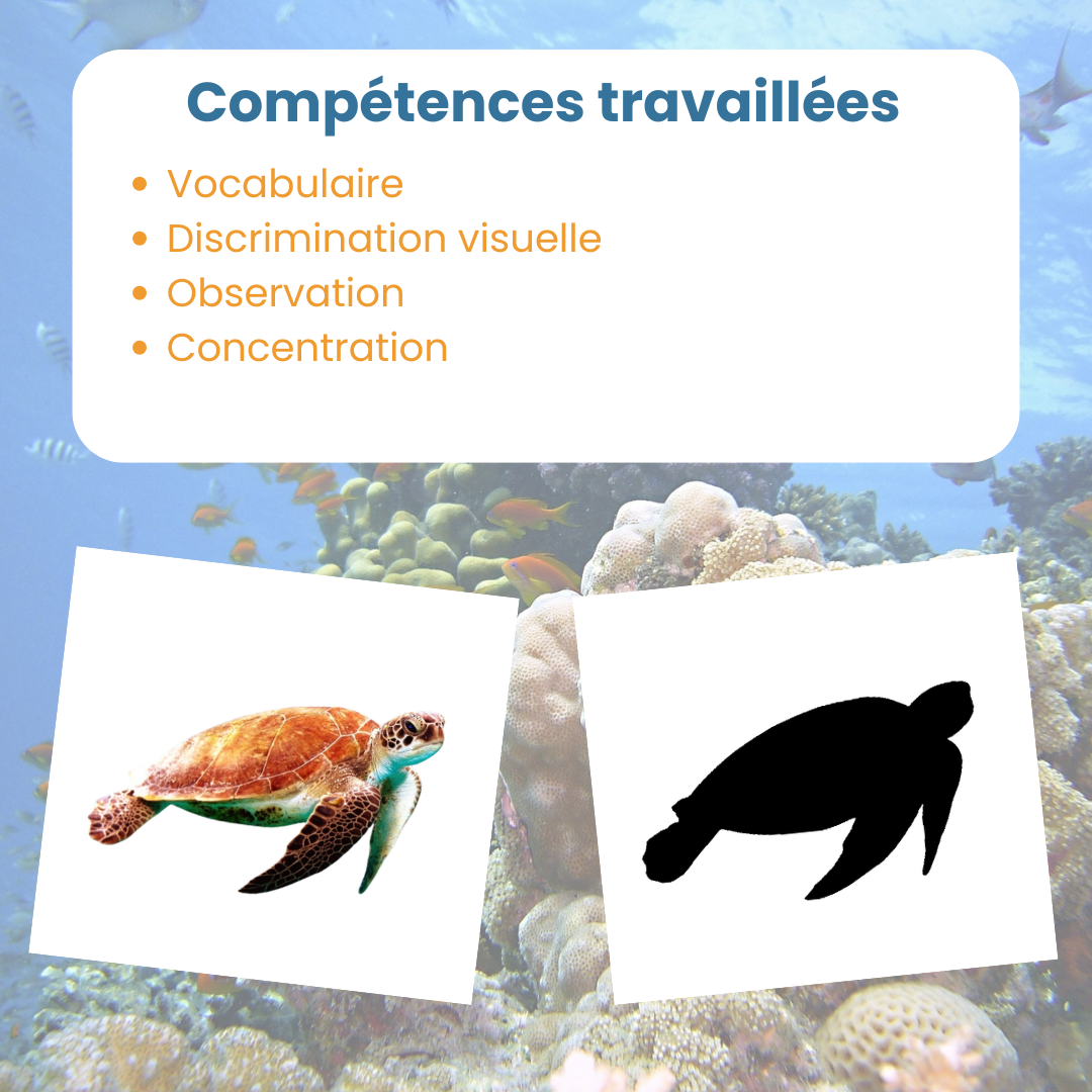Compétences travaillées avec jeu des ombres animaux marins : observation, mise en paire et concentration