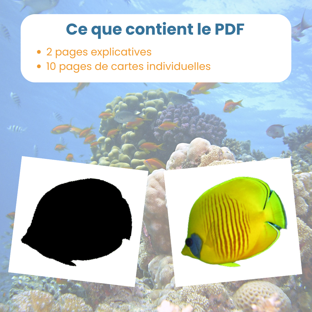 Contenu du PDF jeu des ombres animaux marins : fiches explicatives et cartes à découper