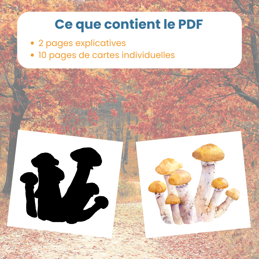 Contenu du PDF jeu des ombres automne : fiches explicatives et cartes à découper