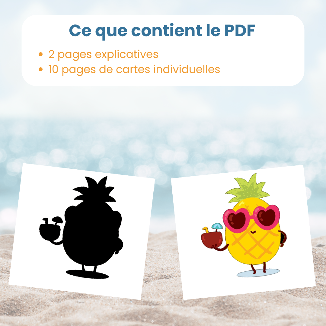 Contenu du PDF du jeu des ombres de l'été : fiches explicatives et cartes à découper
