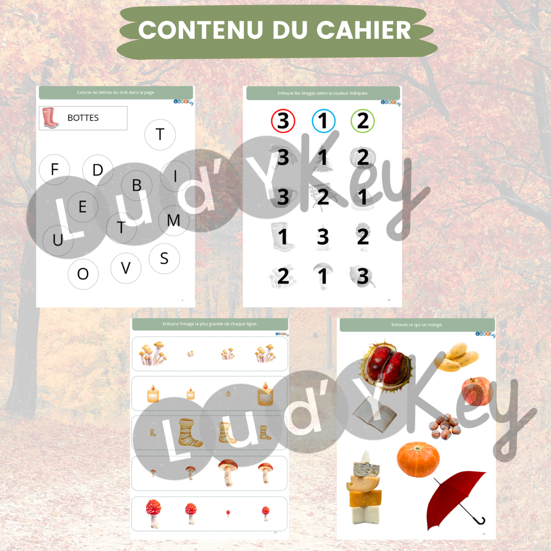 Cahier d'activités petite section automne – Image 2