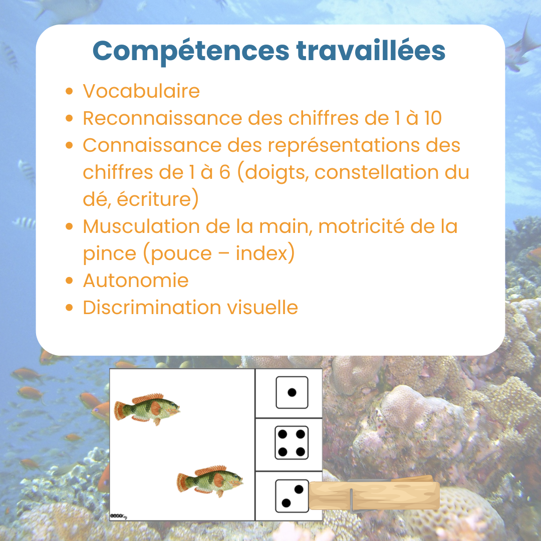 Compétences travaillées avec les cartes à pince dénombrement animaux marins : compter et motricité fine