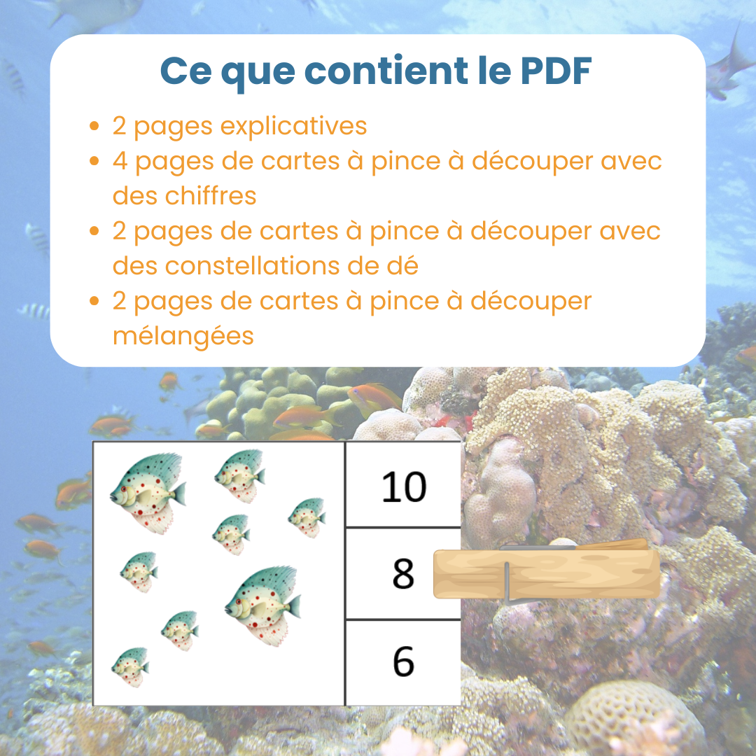 Contenu du PDF cartes à pince dénombrement animaux marins : fiches explicatives et 32 cartes à découper