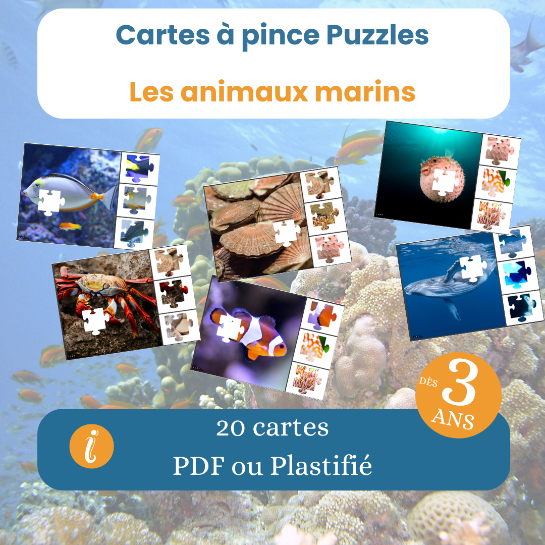 Cartes à pince puzzle animaux marins