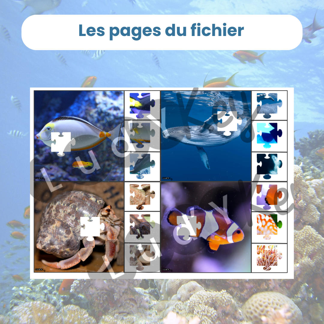 4 cartes à pince à découper sur le thème des animaux marins