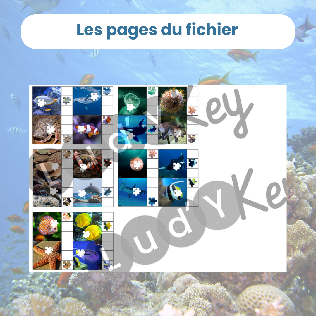Les solutions des cartes à pince puzzle animaux marins pour favoriser l'auto-correction