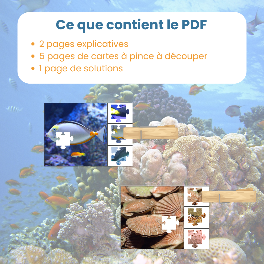 Contenu du PDF cartes à pince puzzle animaux marins : fiches explicatives et cartes à découper