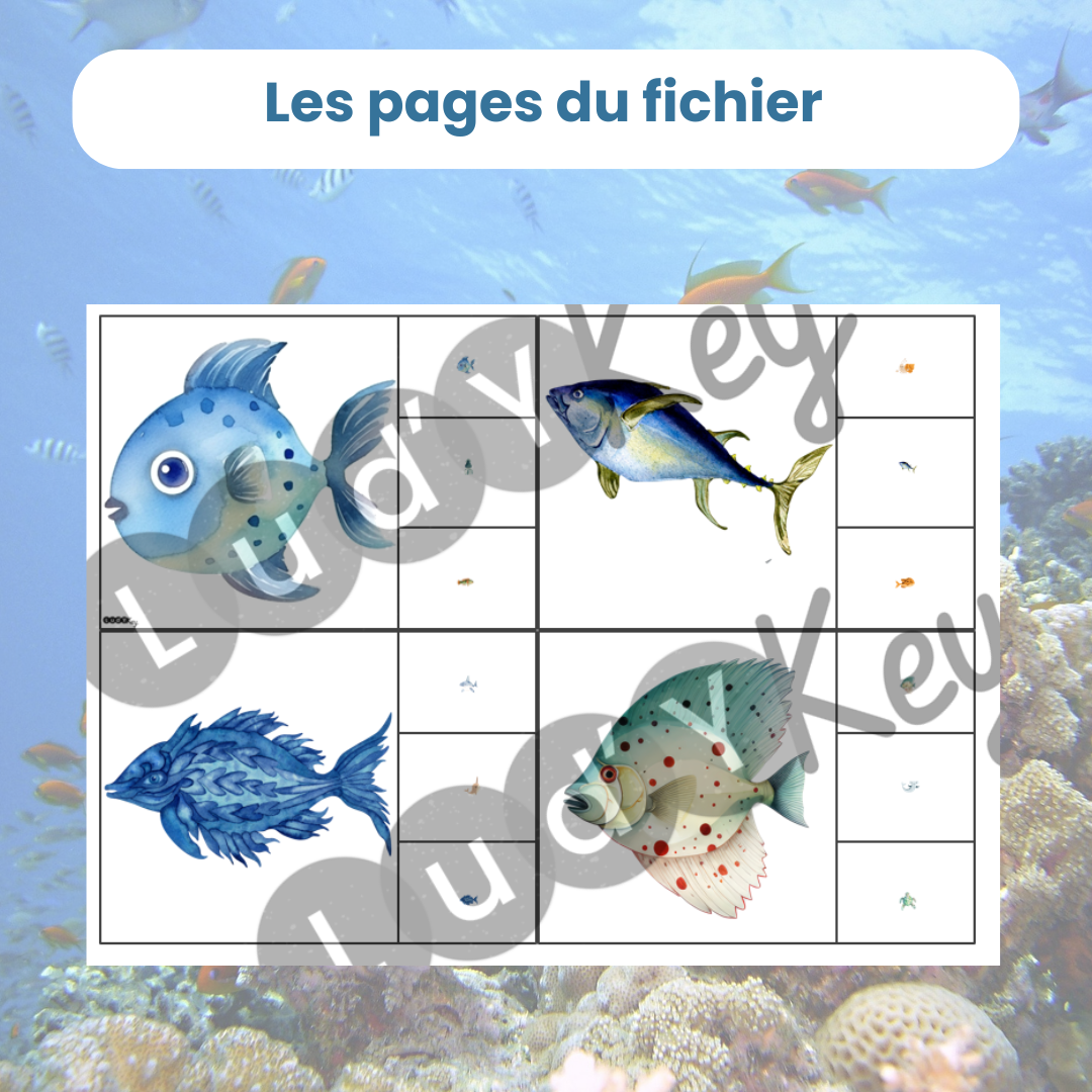 4 cartes à pince à utiliser avec une loupe sur le thème animaux marins