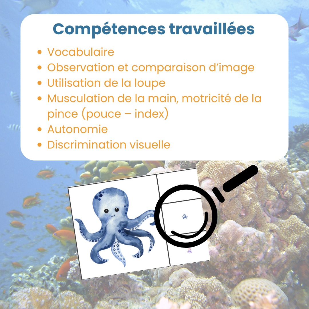 Compétences travaillées avec les cartes à pince zoom sur les animaux marins : motricité fine et utilisation de la loupe