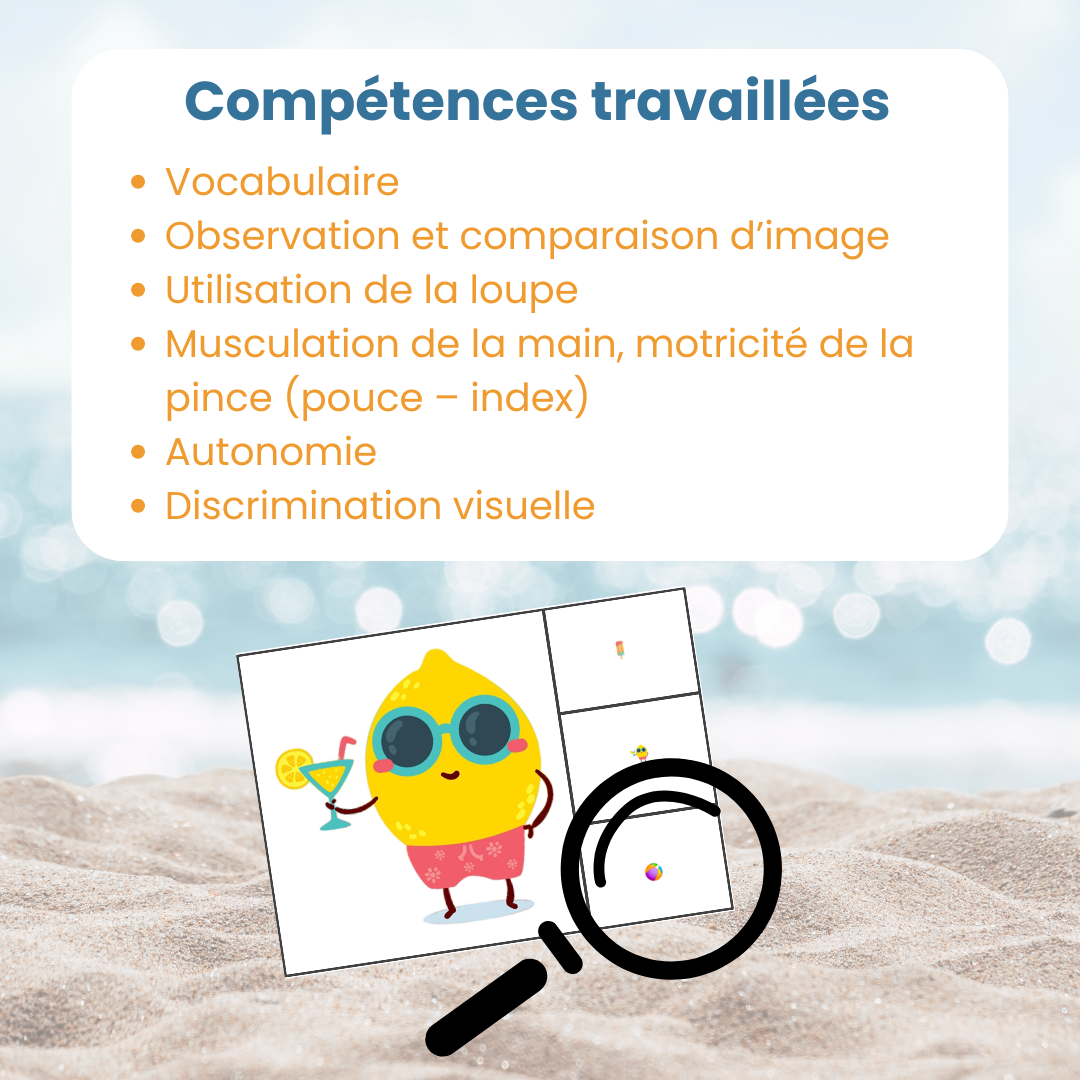 Compétences travaillées avec les cartes à pince zoom sur l'été : vocabulaire, observation et travail avec la loupe