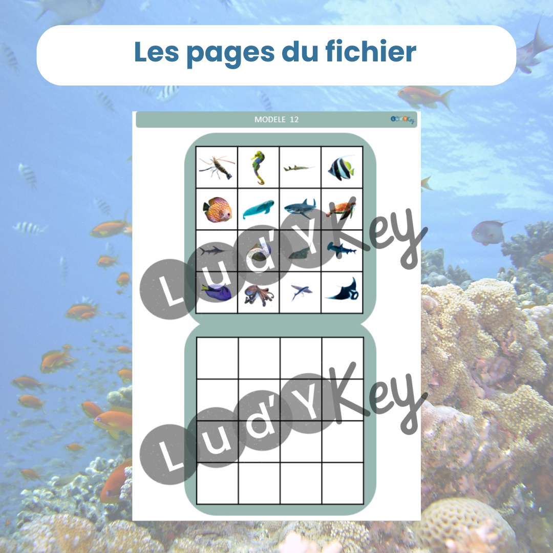 exemple de page pour le PDF codage animaux marins : un tableau à reproduire