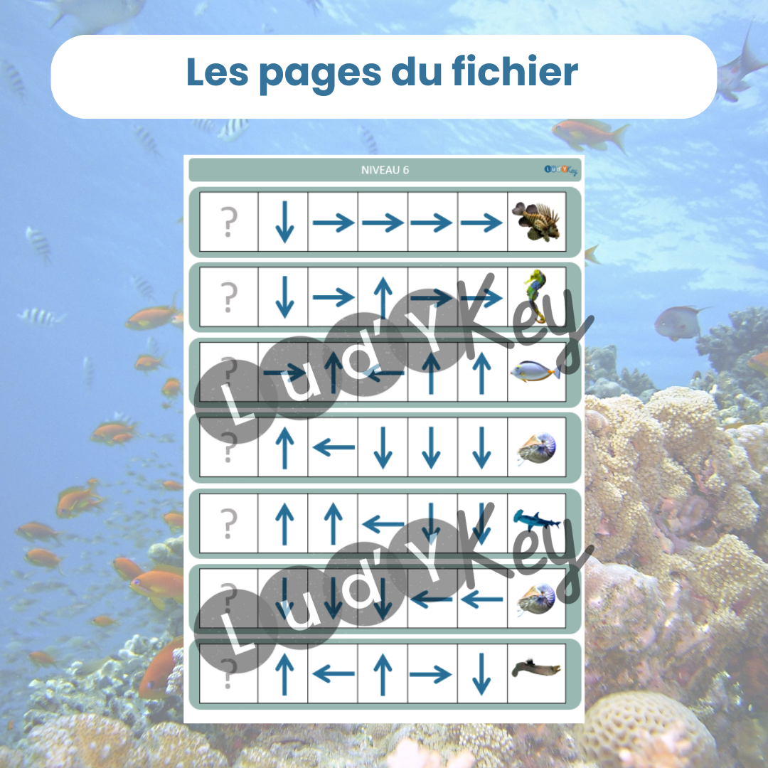 différents parcours codé pour travailler le repérage spatial sur les animaux marins