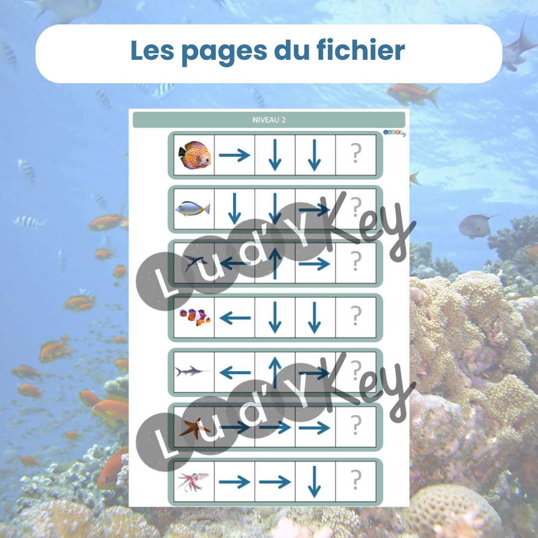 exemple de page de codage sur les animaux marins