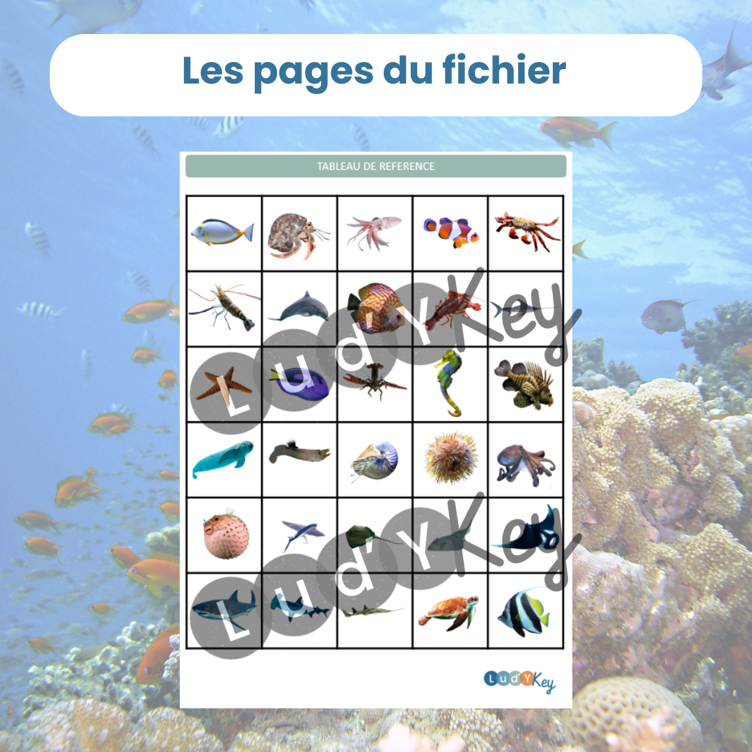 Tableau de référence pour le jeu de codage et repérage sur les animaux marins
