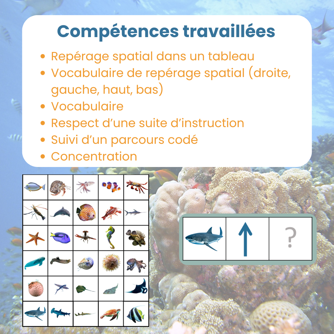 Compétences travaillées pour le jeu de codage animaux marins : respect d'une suite d'instruction et concentration