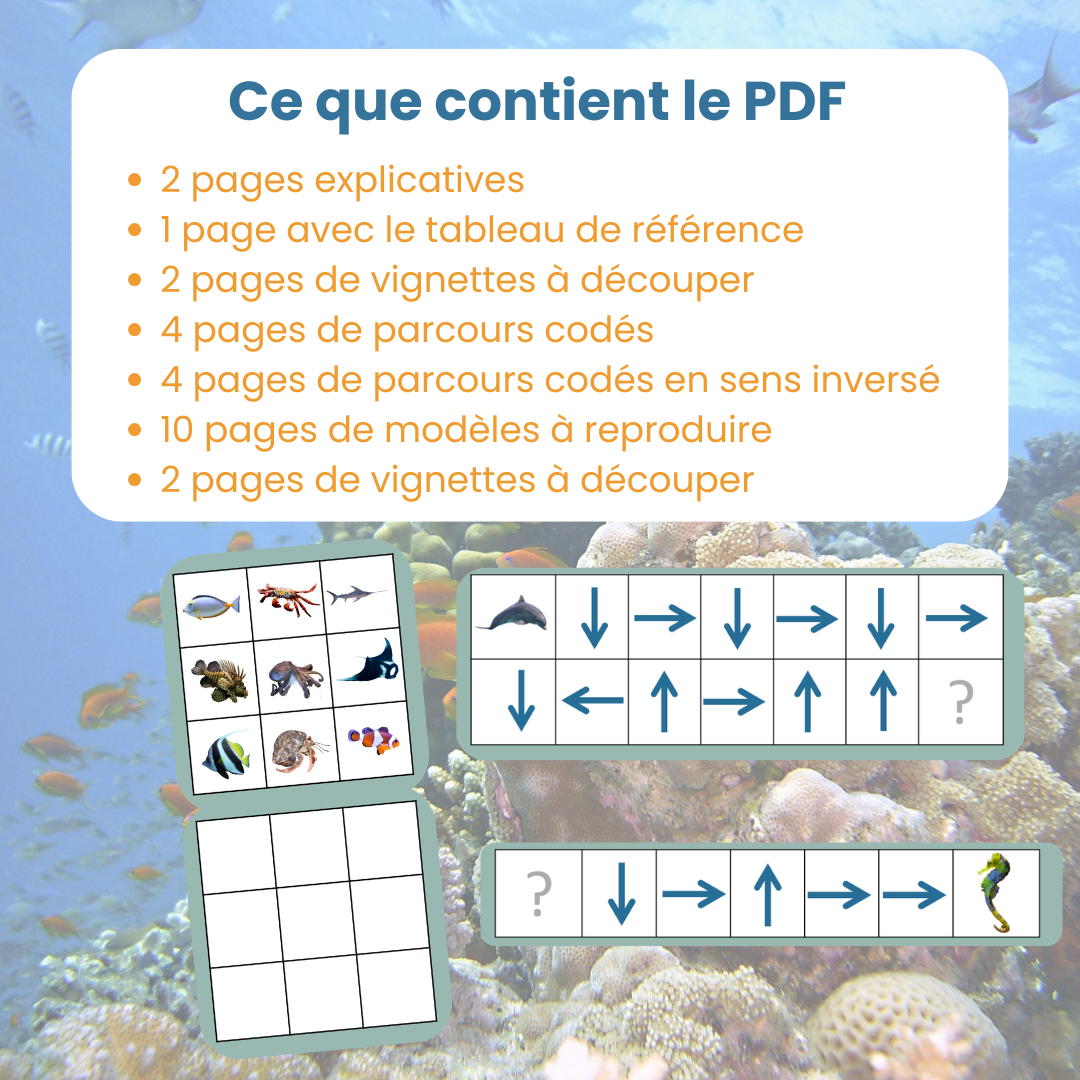 contenu du PDF codage animaux marins : fiches explicatives, tableau de référence, parcours codés et modèle à reproduire
