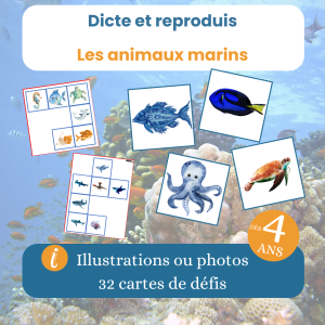Jeu dicte et reproduis animaux marins
