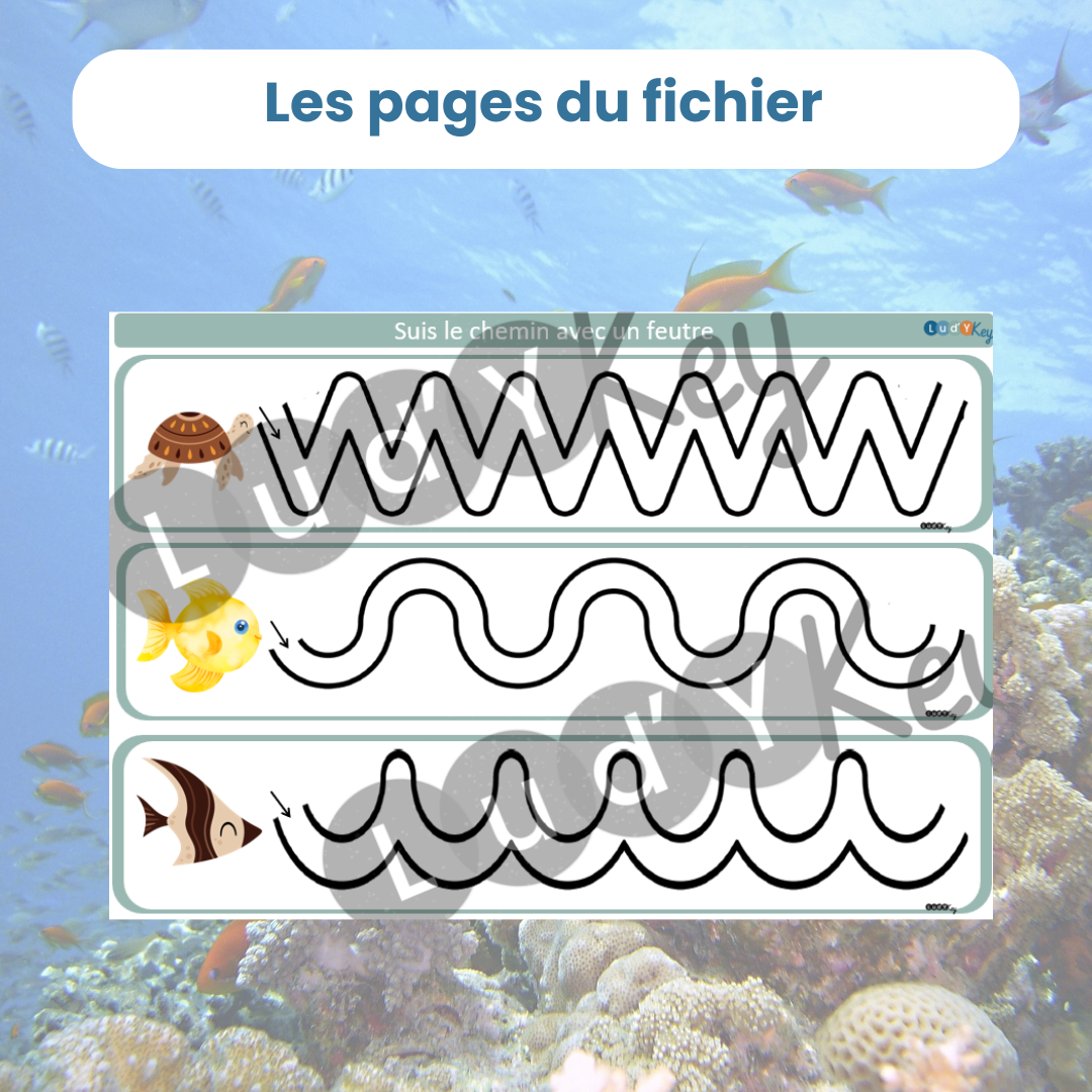 Exemple de page des fiches de graphisme sur les animaux marins