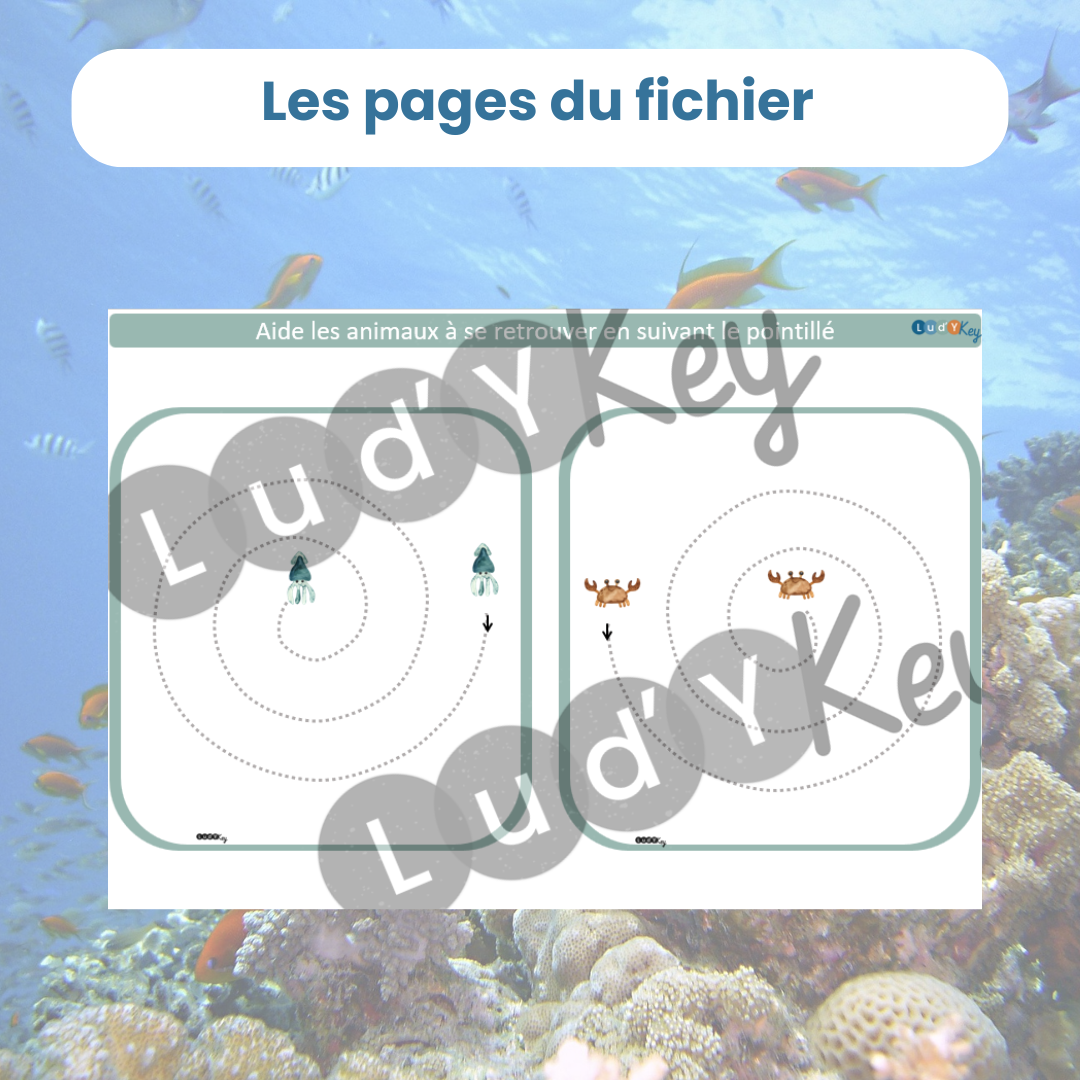 2 fiches de graphisme pour activité autonome sur les animaux marins