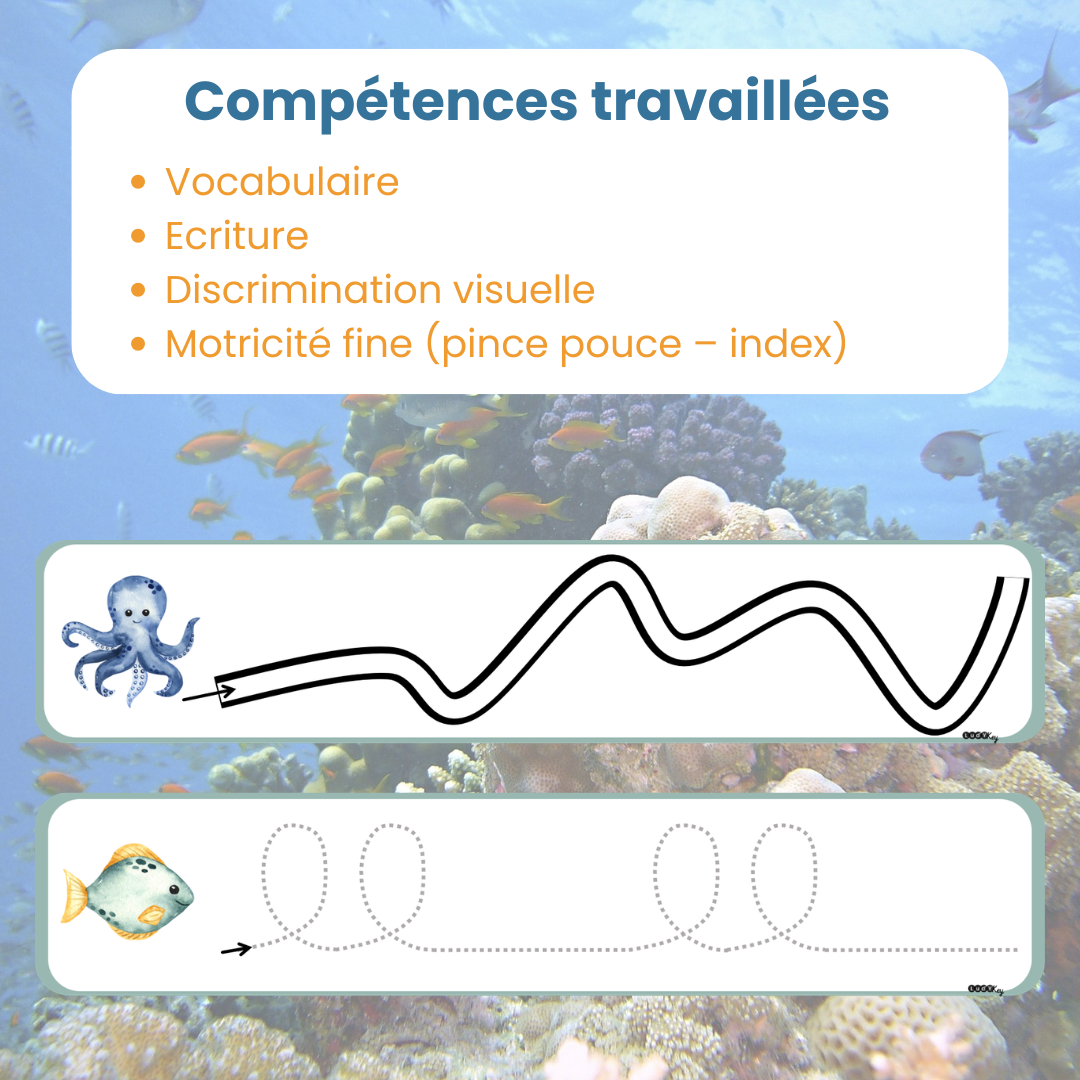 Compétences travaillées avec les fiches de graphisme animaux marins : motricité fine et écriture